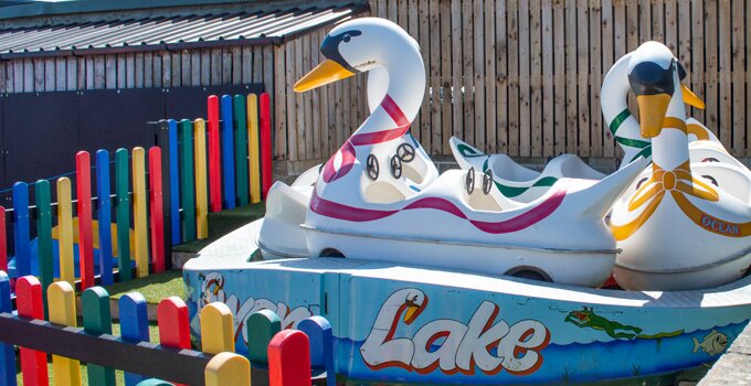 NEW<br />ride a white swan